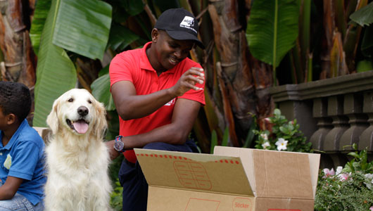 Pet Moving Services – Pet Transport | AGS international Movers