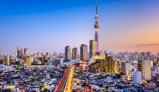 Tokyo from above. Tokyo is the capital of Japan, and one of the biggest  cities in the world. It has a population of 14million, with a Metropolitan  population of almost 40million. It