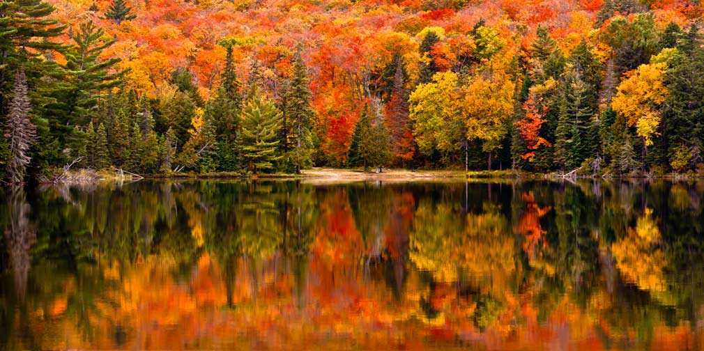 Beautiful fall colours of Canisbay Lake in Ontario, Canada